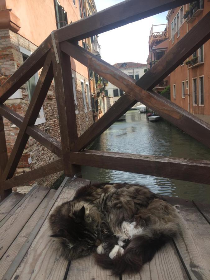 Tintoretto 4, 3 Grandi Camere Da Letto, 2 Bagni Wenecja Zewnętrze zdjęcie